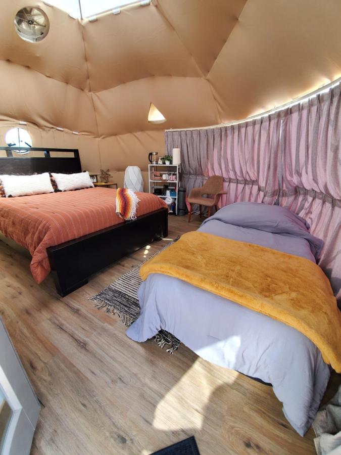 The Kosmic Tortoise Hotel Twentynine Palms Exterior photo