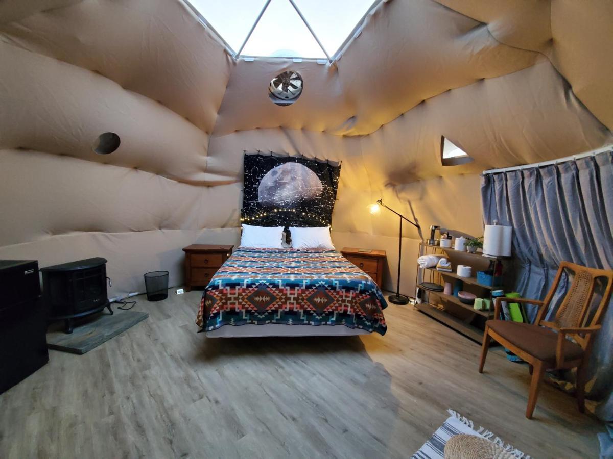 The Kosmic Tortoise Hotel Twentynine Palms Exterior photo